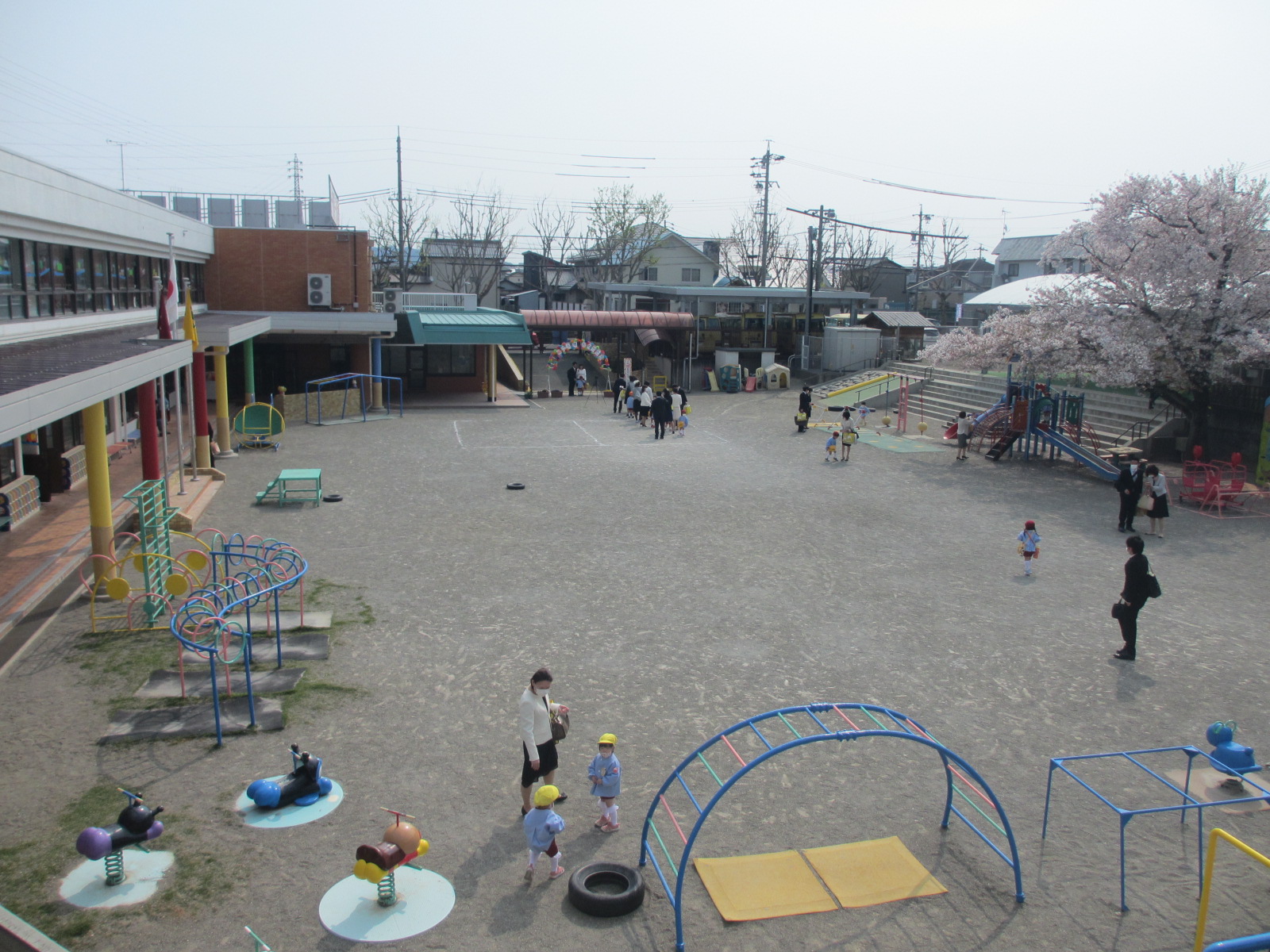 穏やかな春の日差しの中、桜も満開、チューリップ、パンジーも子どもたちの入園を待ち望んでいいたかのように咲き誇っています。