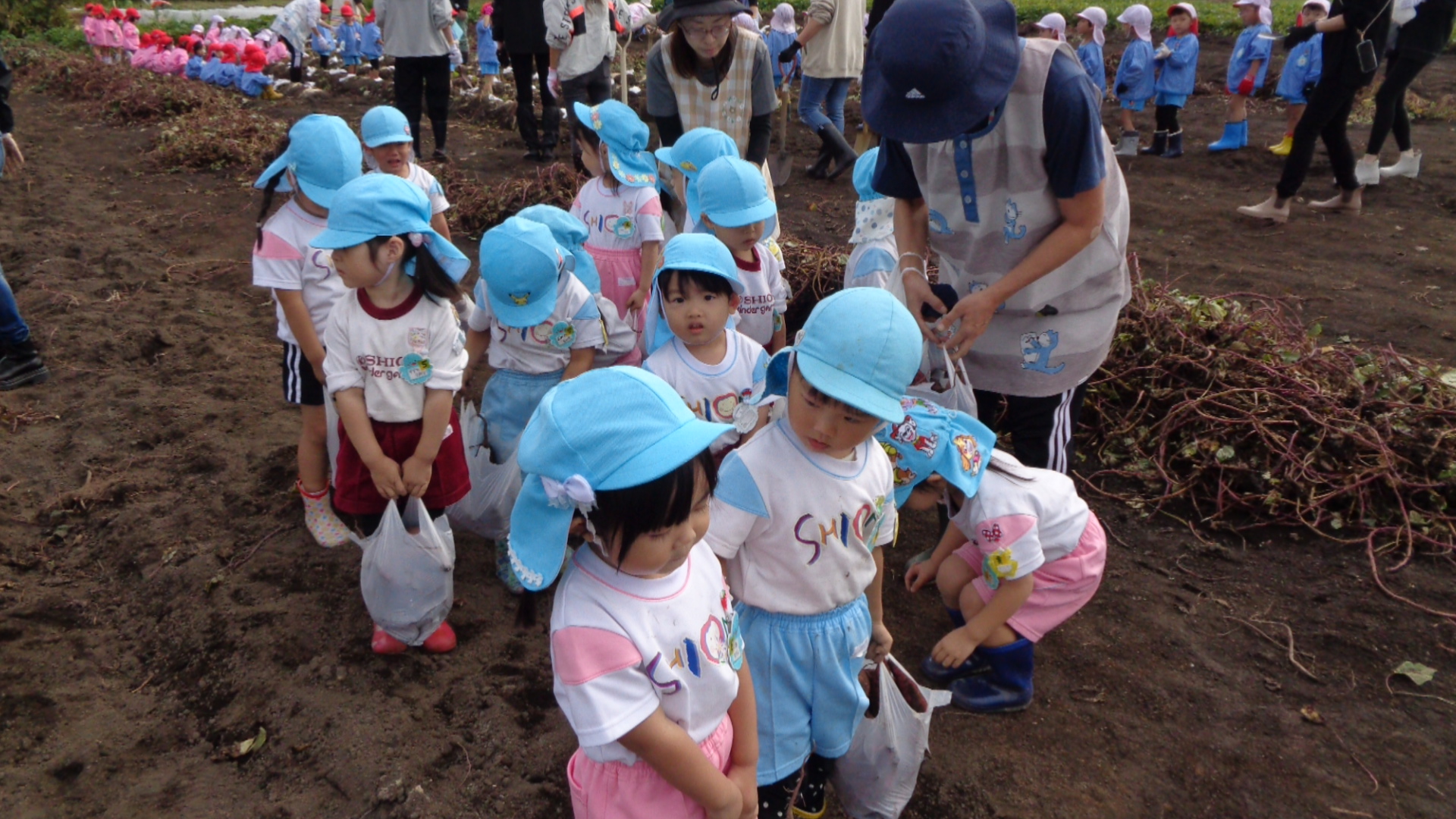 つくしさんも頑張って掘りました。役員の皆さんの補助助かりました。