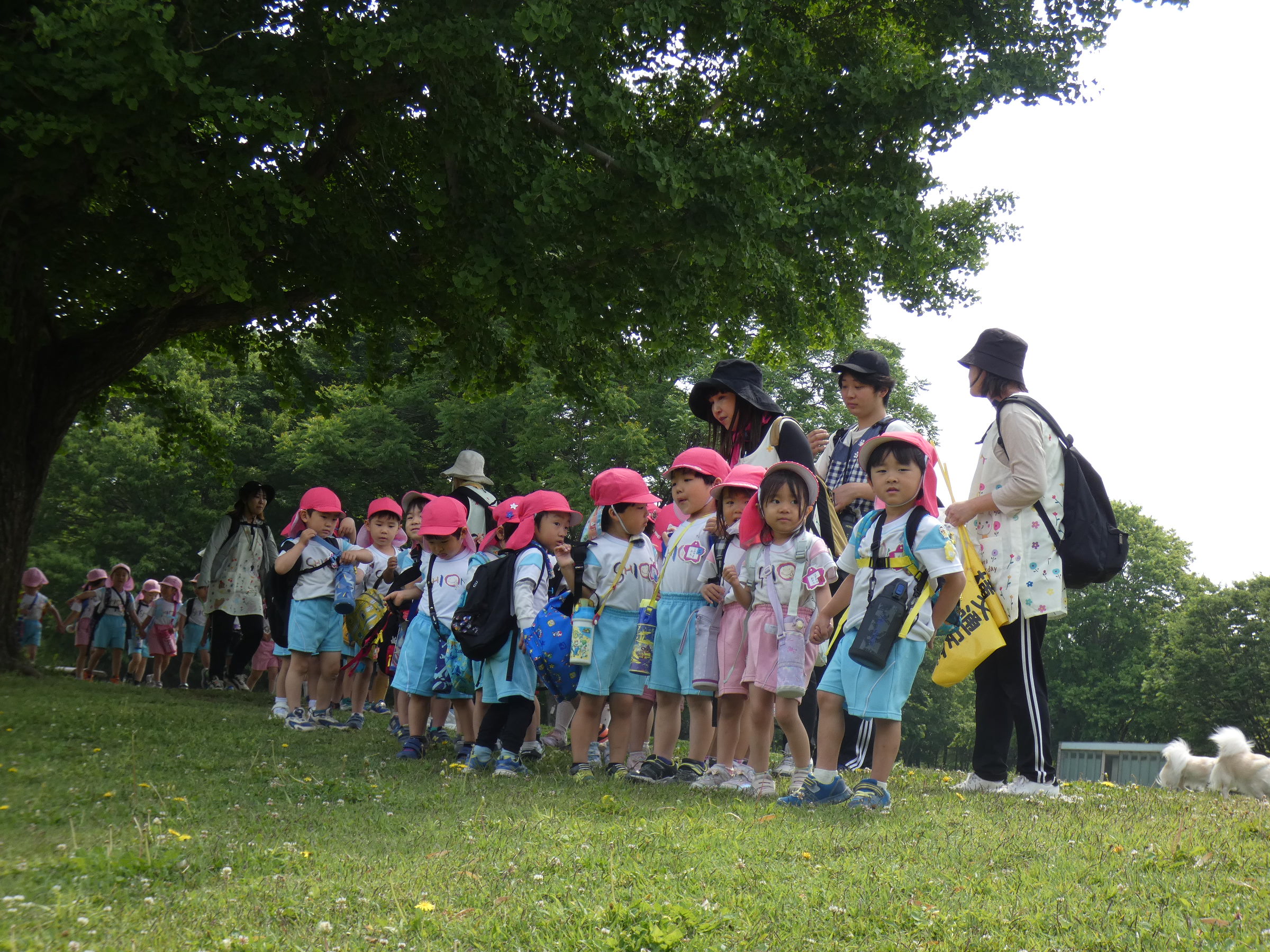 学びの森公園で休憩し、６月に行う、ザリガニ釣りの池や段ボール滑りをする坂の下見もしました。楽しみに！