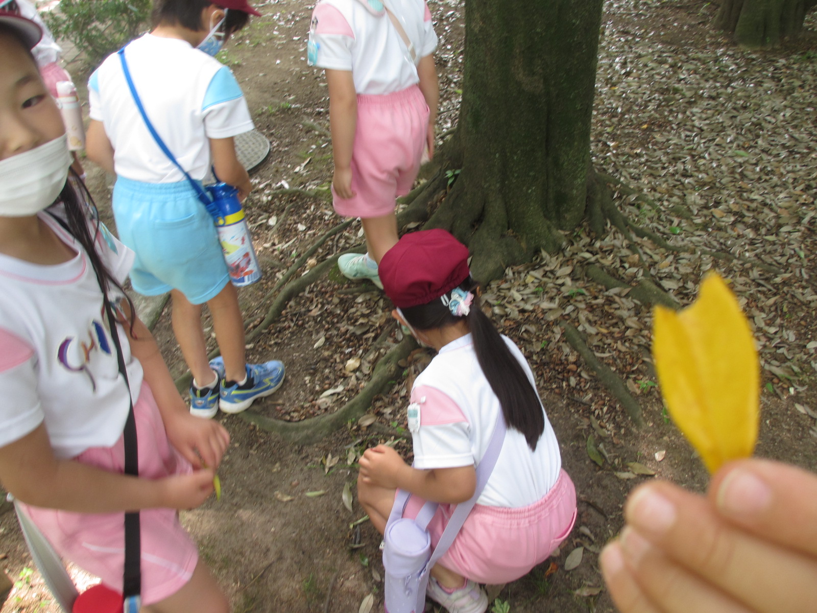 いろんな木の実や変わった葉っぱ、花びらを見つけて遊びました。