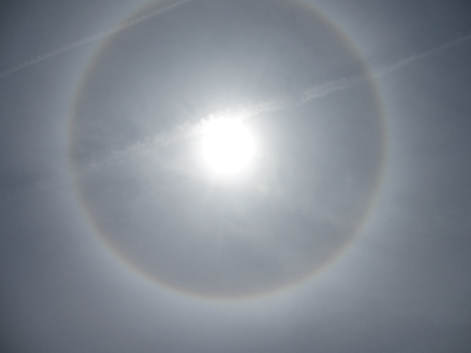 噴水の上にまん丸の虹！噴水のおかげかなと思いましたが、う~んと高いとこだったので、偶然！不思議なものも見えて感動大の公園散歩でした。また行きたいですね。