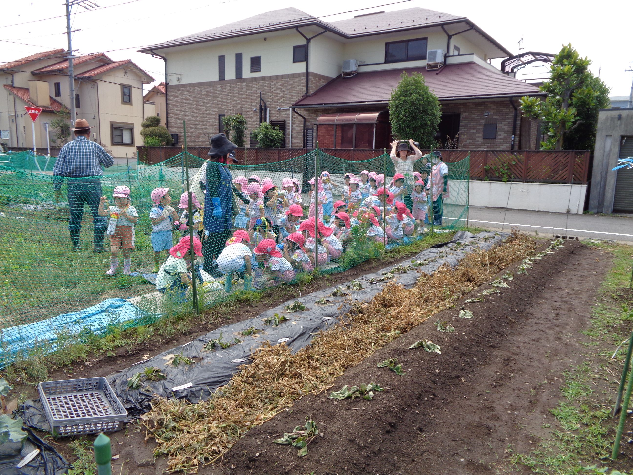 幼稚園から東に３００メートルほどの所です。