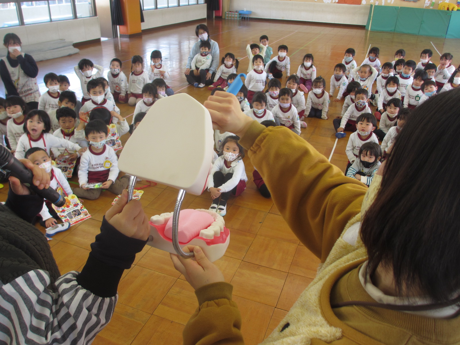 上の歯、下の歯、奥歯・・みんな違う磨き方なんだよね！！