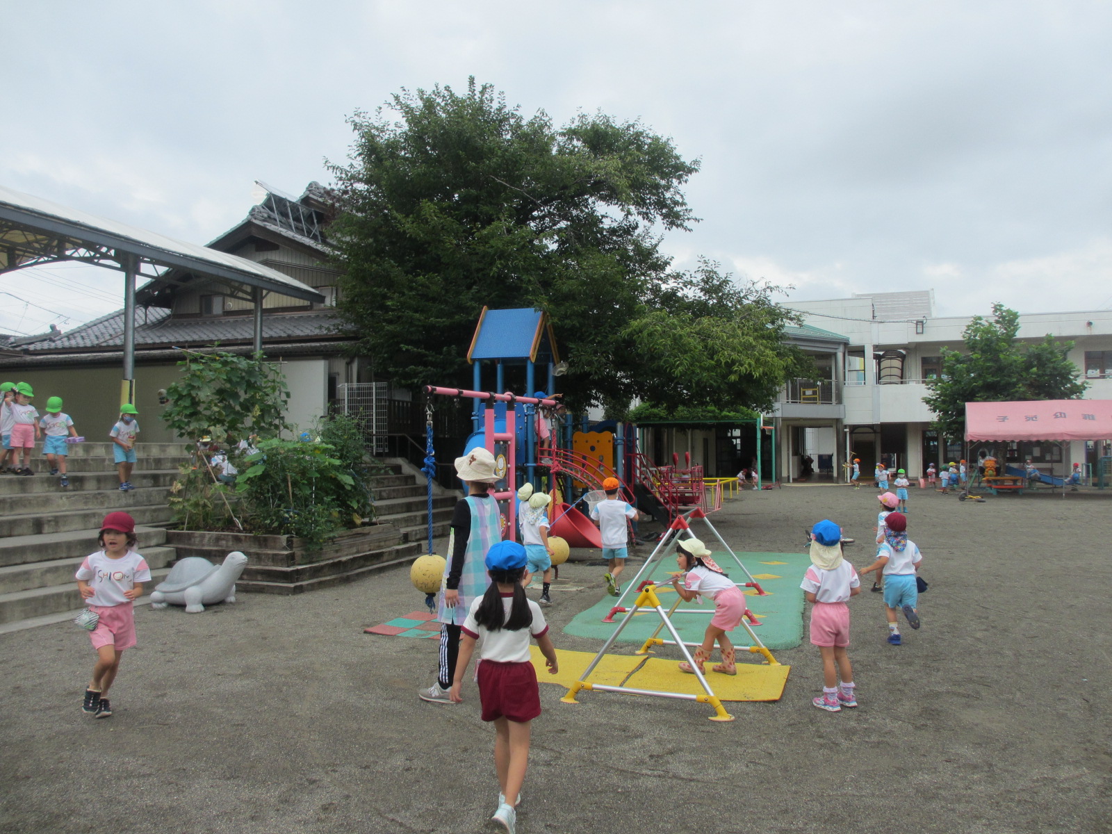 蝉が元気に鳴いています。
蝉捕りに夢中です。
梅雨明けも間近です。