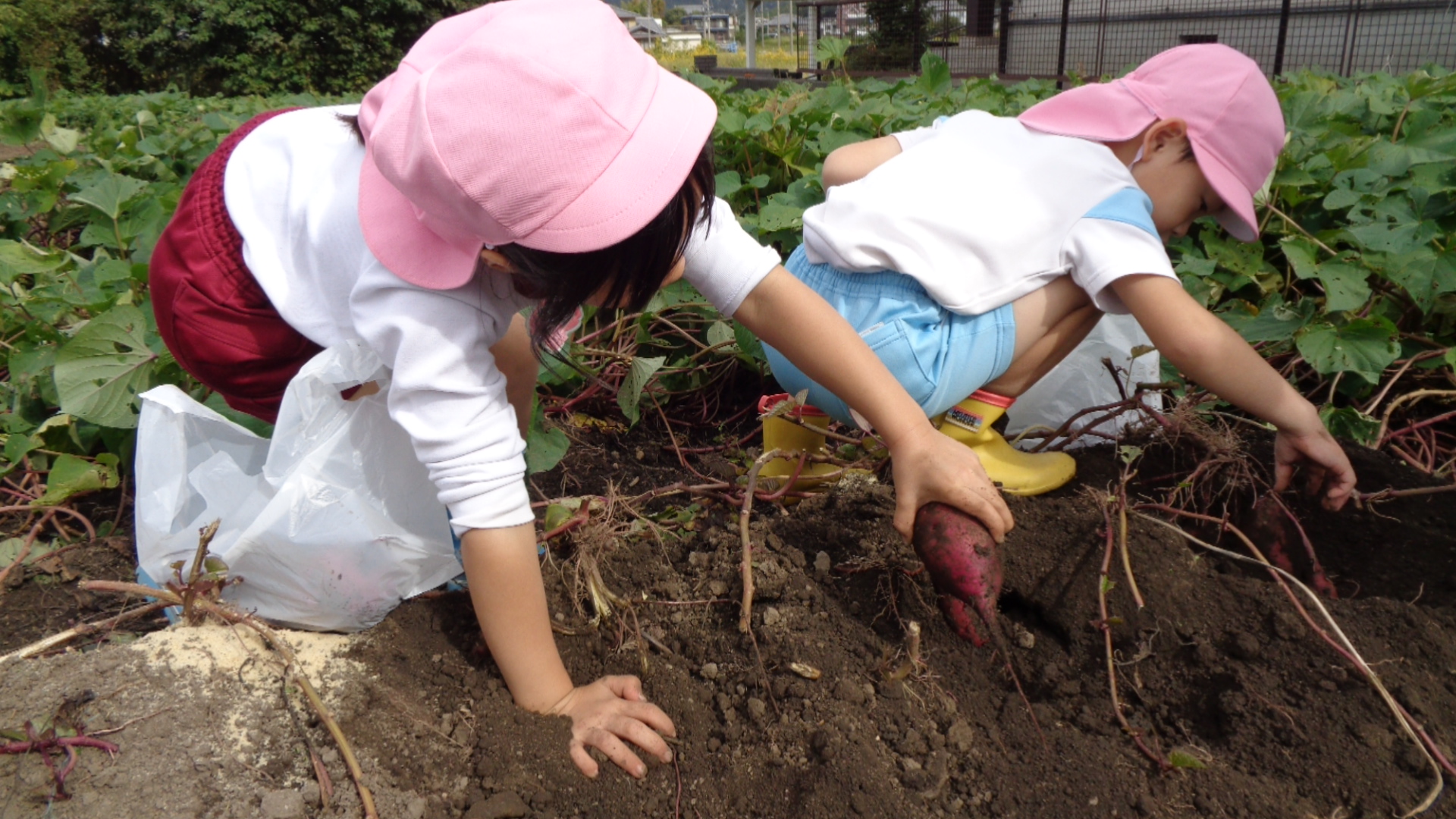 頑張って掘りました！