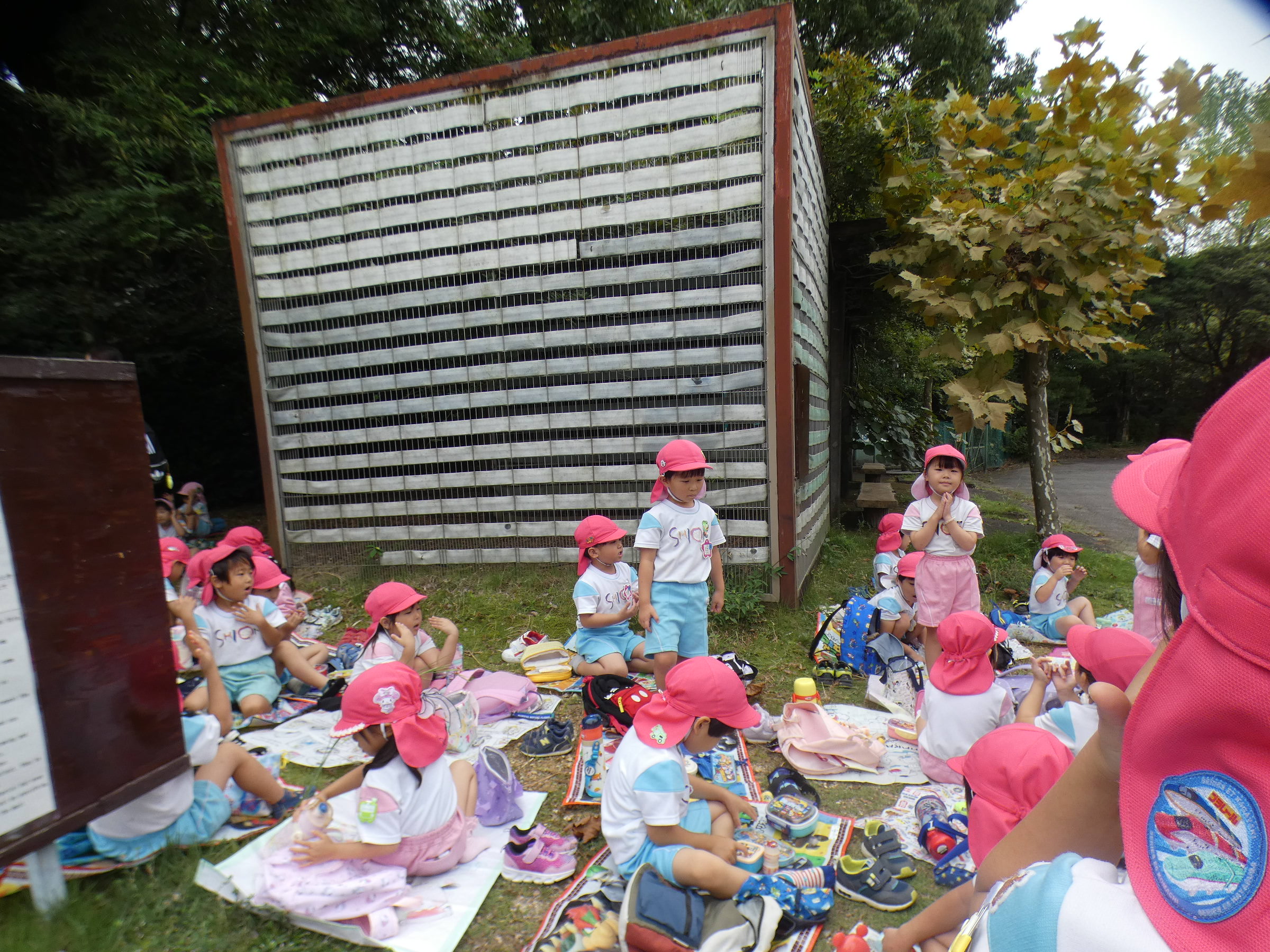 楽しいお弁当の時間です！